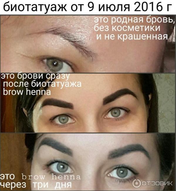 Хна для бровей Brow Cosmetics фото