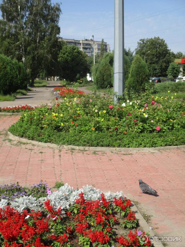 Сквер железногорск курская область. Сквер воинской славы Железногорск. Сквер воинов интернационалистов Железногорск Курская область.