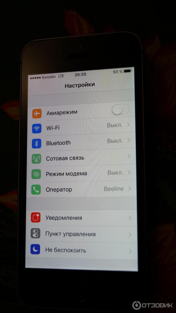 Телефон Apple iPhone SE 16 GB Space Gray фото