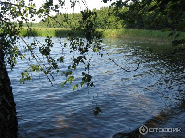 Кемпинг Espoo Camping Oittaa (Финляндия, Эспо) фото