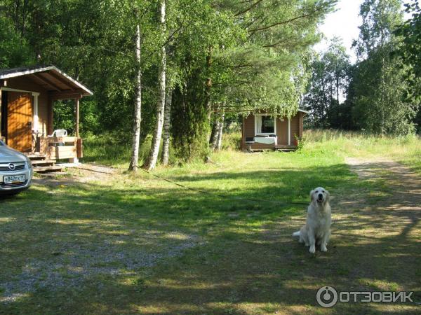 Кемпинг Espoo Camping Oittaa (Финляндия, Эспо) фото