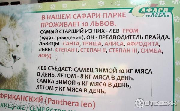 Купить Билет В Сафари Парк Краснодар