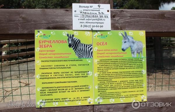 Купить Билет В Сафари Парк Краснодар