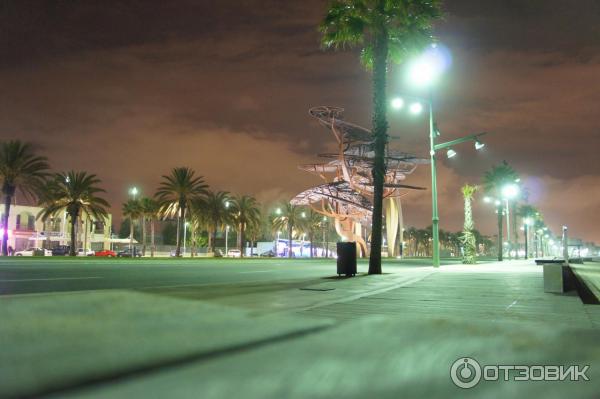 Отель Estival Park 4 (Испания, Ла-Пинеда) фото