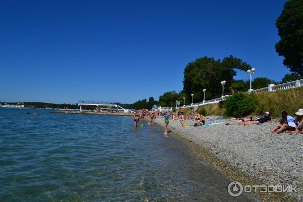 Гостевой дом Уютный берег -2 Геленджик фото