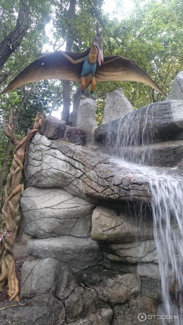 Сафари Парк Краснодар Цена