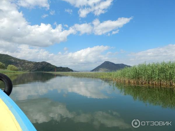 Скадарское озеро (Черногория) фото