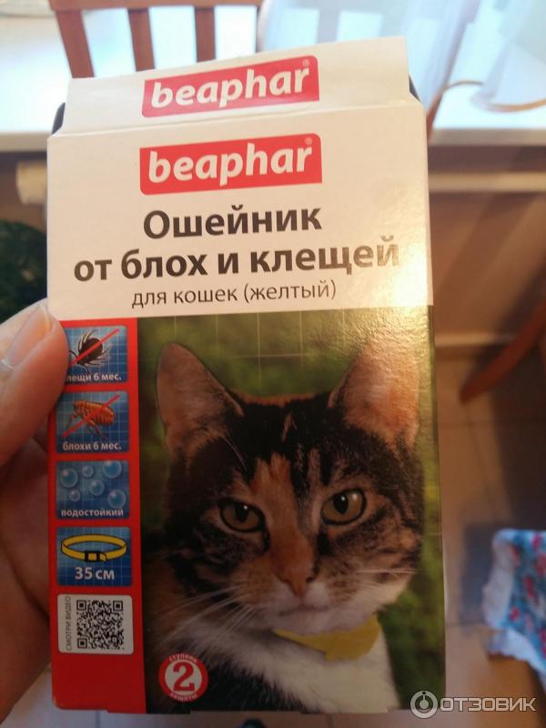 Ошейник от блох и клещей для кошек Beaphar фото