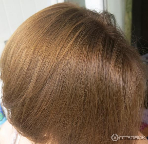 Капус лесной орех 8.8 фото Отзыв о Краска для волос Garnier "Color Naturals" creme Хоорший бюджетный вариан