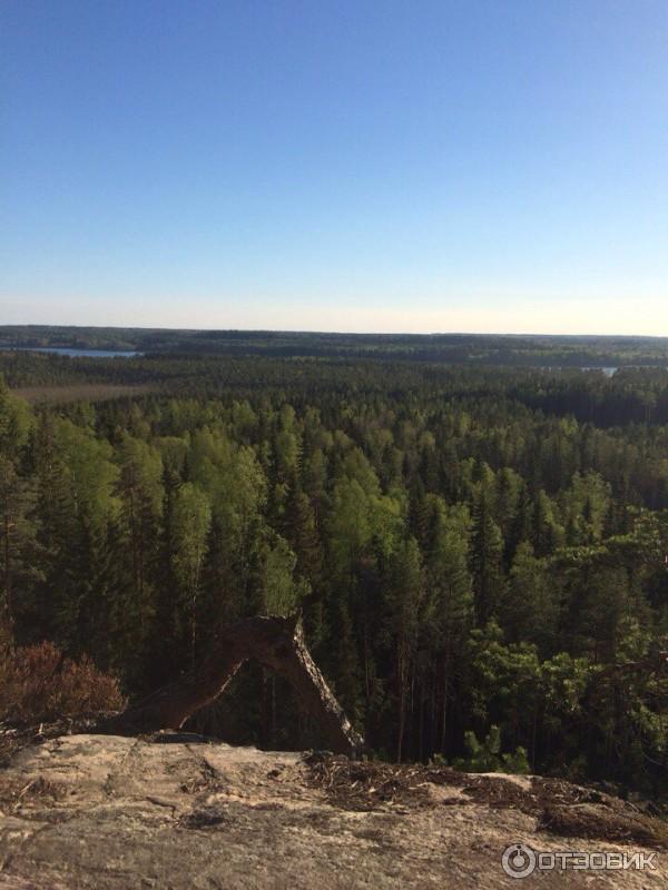 Гостевой комплекс Времена года (деревня Рауталахти, Сортавала, Карелия) фото