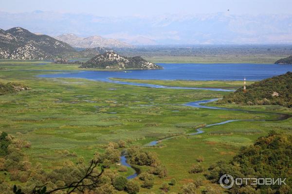 Скадарское озеро (Черногория) фото