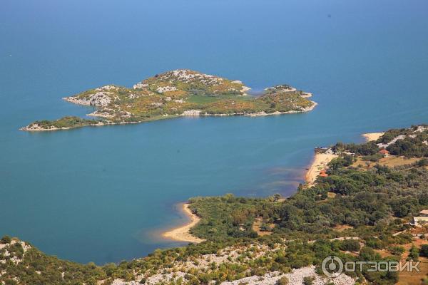 Скадарское озеро (Черногория) фото