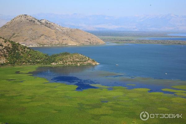 Скадарское озеро (Черногория) фото