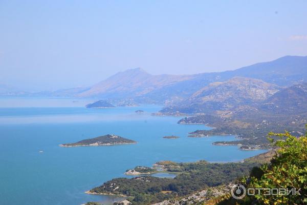 Скадарское озеро (Черногория) фото