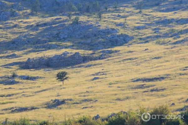 Скадарское озеро (Черногория) фото