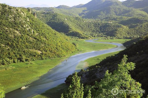 Скадарское озеро (Черногория) фото