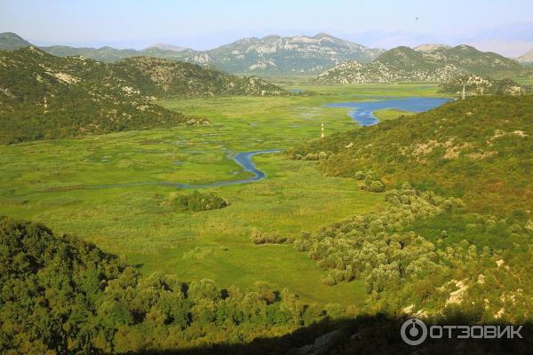 Скадарское озеро (Черногория) фото