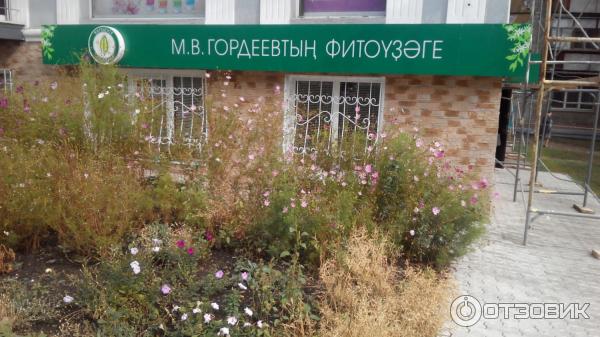 Фитоцентр гордеева просп карла маркса 53 фото