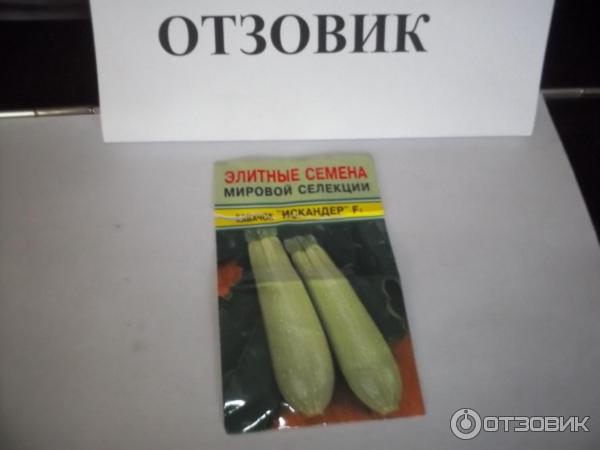 Отзыв о Семена Seminis "Кабачок Искандер" | Мы с женой не дурачки, чтоб ...
