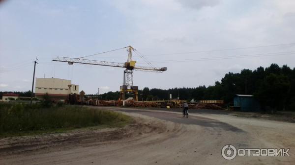 Отдых на Голубых Озерах в пос. Олешня (Украина, Черниговская область) фото
