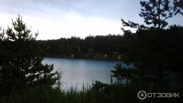 Отдых на Голубых Озерах в пос. Олешня (Украина, Черниговская область) фото