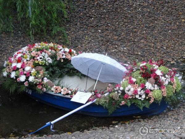 Ежегодная выставка-ярмарка Воронеж город-сад (Россия, Воронеж) фото