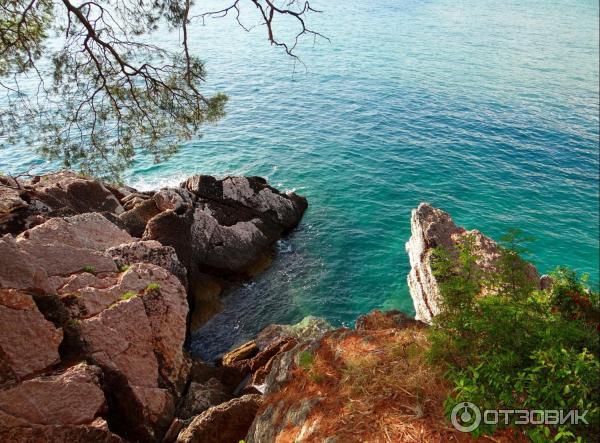 Парк Милочер (Черногория, Свети Стефан) фото