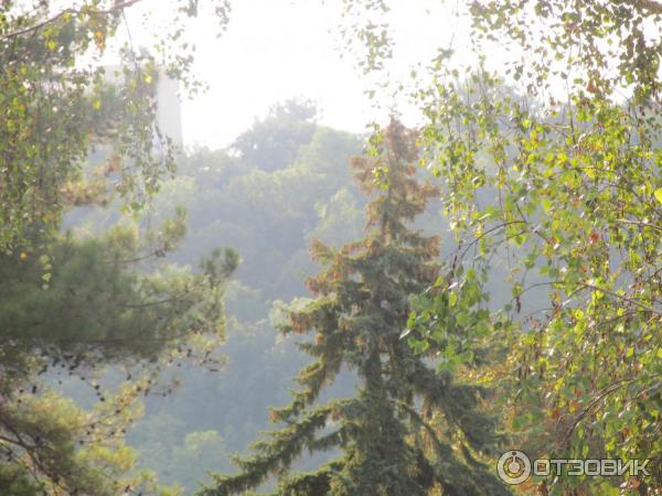 Пансионат Южный (Россия, Краснодарский край) фото