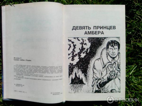 Книга Девять принцев Амбера - Роджер Желязны