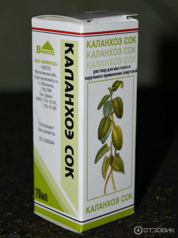 Сок Каланхоэ В Нос Купить Аптеке