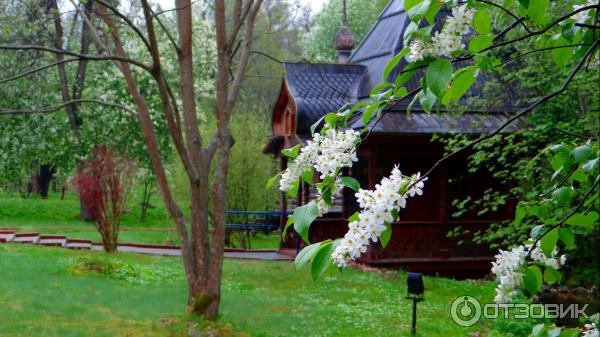 Святой Источник преподобного Давида в селе Талеж (Россия, Чехов) фото