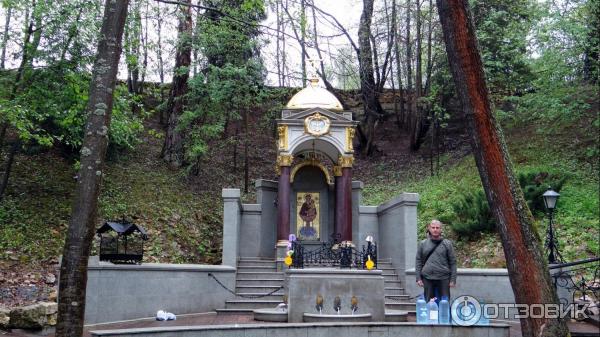 Святой Источник преподобного Давида в селе Талеж (Россия, Чехов) фото