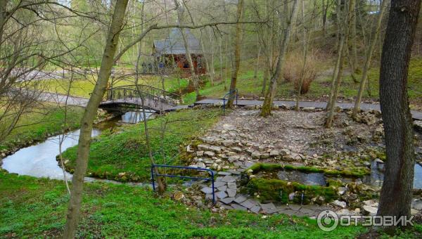 Святой Источник преподобного Давида в селе Талеж (Россия, Чехов) фото