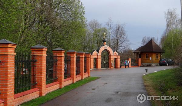 Святой Источник преподобного Давида в селе Талеж (Россия, Чехов) фото