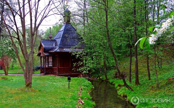 Святой Источник преподобного Давида в селе Талеж (Россия, Чехов) фото