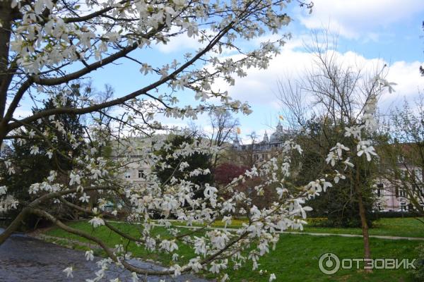 Город Баден-Баден (Германия, Баден-Вюртемберг) фото