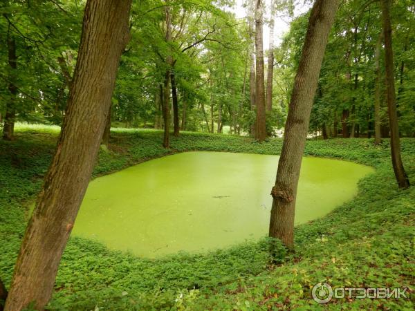 Ясная Поляна (Россия, Тульская область) фото