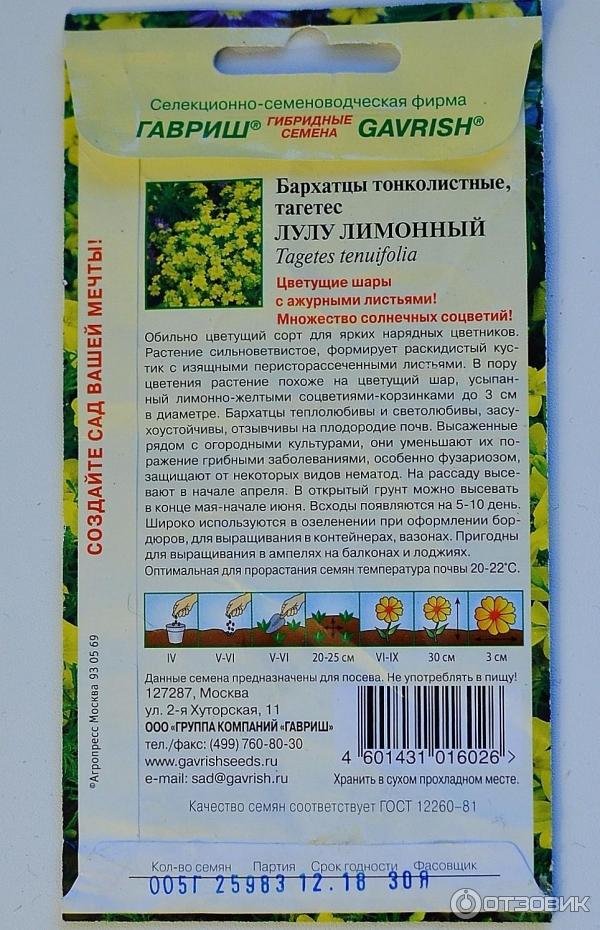 Отзыв о Семена Гавриш "Бархатцы тонколистные Лулу лимонный" | Постоянно ...