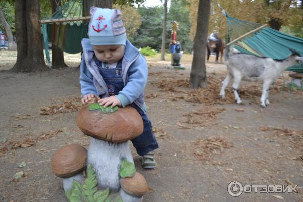 Одесский зоопарк (Украина, Одесса) фото