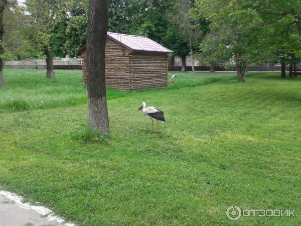 Одесский зоопарк (Украина, Одесса) фото