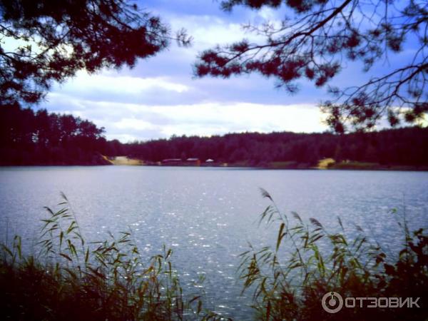 Отдых на Голубых Озерах в пос. Олешня (Украина, Черниговская область) фото