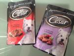 Корм для собак Cesar фото