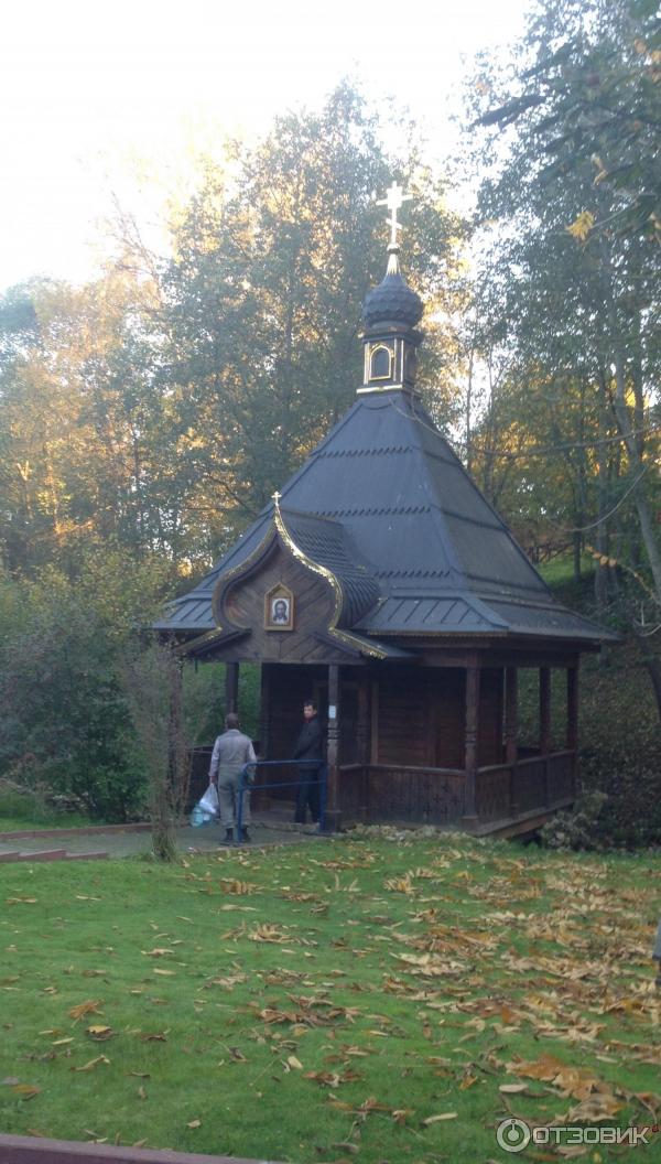 Святой Источник преподобного Давида в селе Талеж (Россия, Чехов) фото