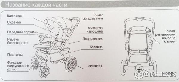 коляска капелла S803