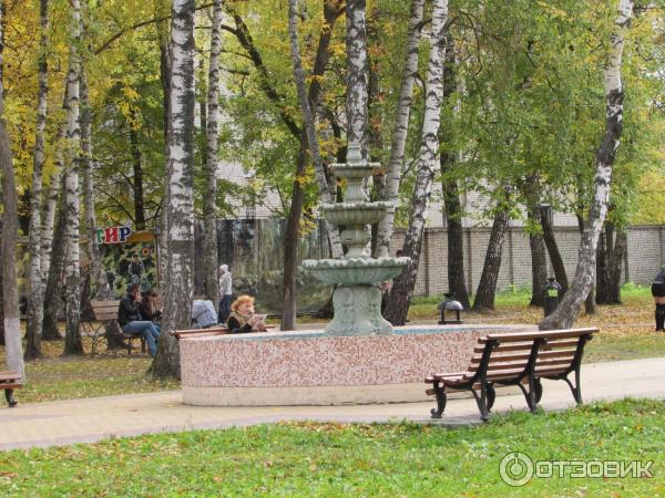 Парки Иваново Фото