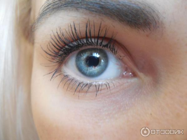 Тушь для ресниц L'Oreal False Lash Papillon Intenza фото