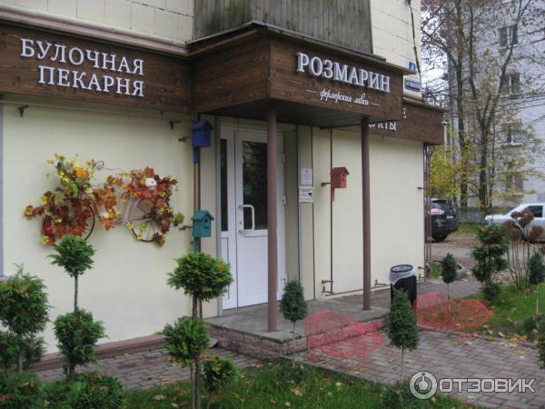 Розмарин просп максима горького 38 2 фото