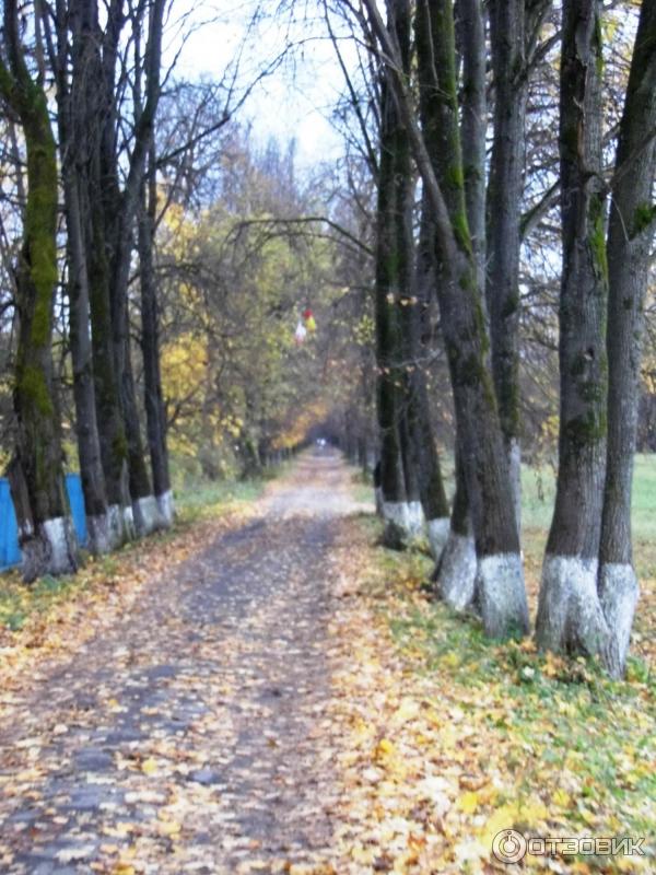 Музейный комплекс Полотняный завод Усадьба Гончаровых (Россия, Калужская область) фото