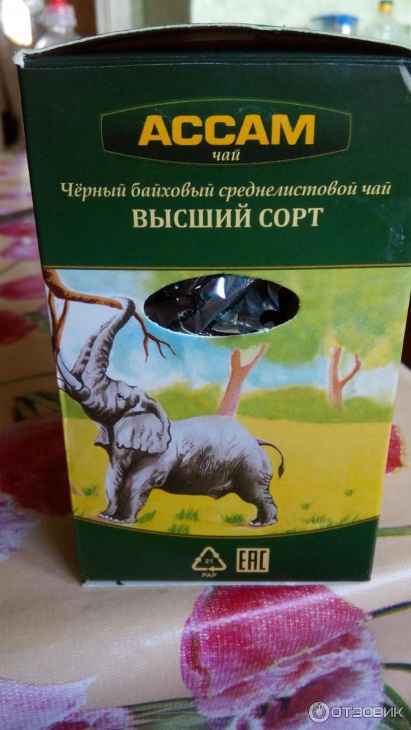 Казахстанский Чай Фото