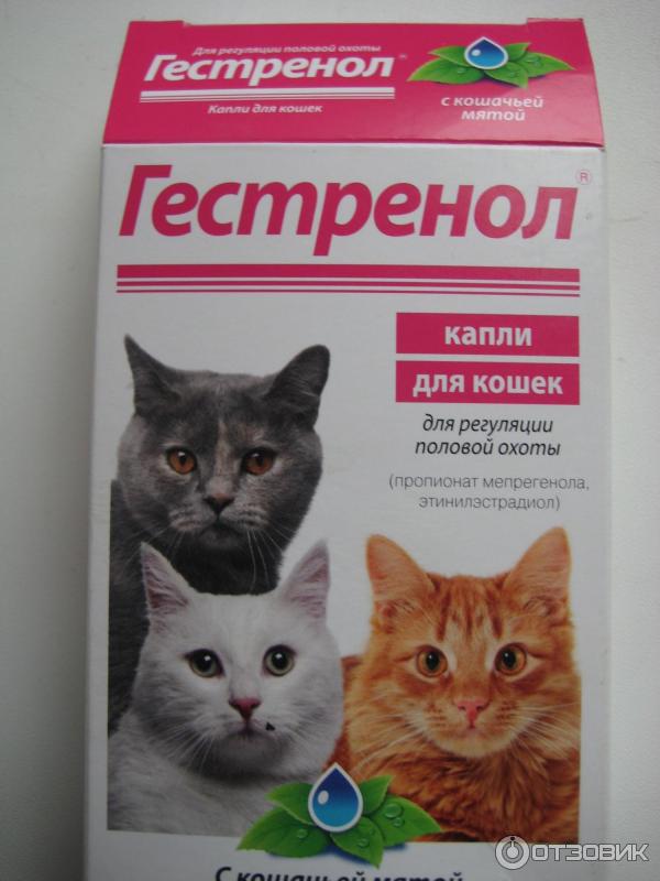 Гестренол Для Кошек Капли Цена